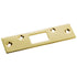 Polished Brass 4 7/8" Security Deadbolt Door Latch Strike 1012 Hickory