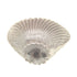 Anne at Home Nautical Oceanus 1 3/4" Sea Shell Cabinet Knob Satin Pearl 1131-15