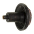 Anne at Home Ornamental Sasha 1 3/8" Knob Black with Terra Cotta Wash 289-730