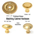 Belwith Hickory Annapolis 1 1/4" Polished Brass Round Solid Brass Cabinet Knob P2