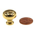 Hickory Hardware Solid Brass Polished Brass 3/4" Small Cabinet Knob BK10-03