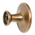 Amerock Reflections Gilded Bronze 1 1/4" Round Disc Cabinet Knob BP1387-GB