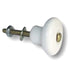 Pair of Amerock Hardware BP706-30 White 1" Cabinet Knob Pulls Brass Screws