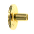 Amerock BP755-3 Polished Brass 1 1/4" Mushroom Cabinet Knob Pulls Allison