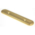 2 Pack Amerock Polished Brass 3"cc Cabinet Handle Backplates BP759-3