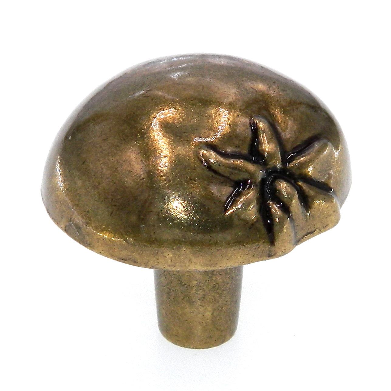 Amerock Veggie'Z Regency Brass 1 3/8" Round Tomato Cabinet Knob BP9333-R1