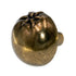 Amerock Veggie'Z Regency Brass 1 3/8" Round Tomato Cabinet Knob BP9333-R1