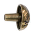 Amerock Veggie'Z Regency Brass 1 3/8" Round Tomato Cabinet Knob BP9333-R1