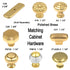 25 Pack Hickory Hardware Conquest 1 1/8" Polished Brass Mushroom Cabinet Knob P14255-3