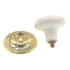 Amerock White Round Cabinet Knob With 1 9/16" Polished Brass Backplate E520430B