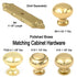 Keeler Solid Brass Polished Brass Round 1" Solid Brass Cabinet Knob BK11-03