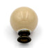 Belwith Hickory P21-AD Almond 1 1/4" Round Cabinet Knob Pull with Brass Base