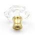 10 Pack Hickory Hardware Crystal Palace 1 5/16" Clear Crysacrylic and Polished Brass Cabinet Knob P31-CA3