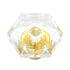 10 Pack Hickory Hardware Crystal Palace 1 5/16" Clear Crysacrylic and Polished Brass Cabinet Knob P31-CA3