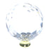 Belwith Keeler Crystal Palace Clear Crysacrylic 1 1/2" Knob P40-CA3 with Brass Base