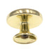 Hickory Hardware Manor House Polished Brass Round 1 1/4" Cabinet Knob P406-PB