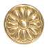 Hickory Hardware Newport Satin Brass 1 1/4" Flower Cabinet Pull Knob P503-SB